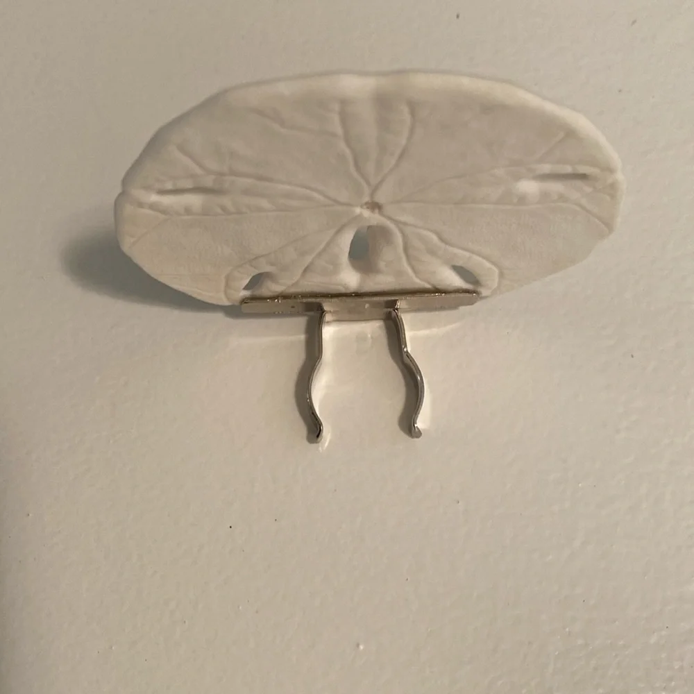 Sand Dollar auto on night light - Picture 6 of 8